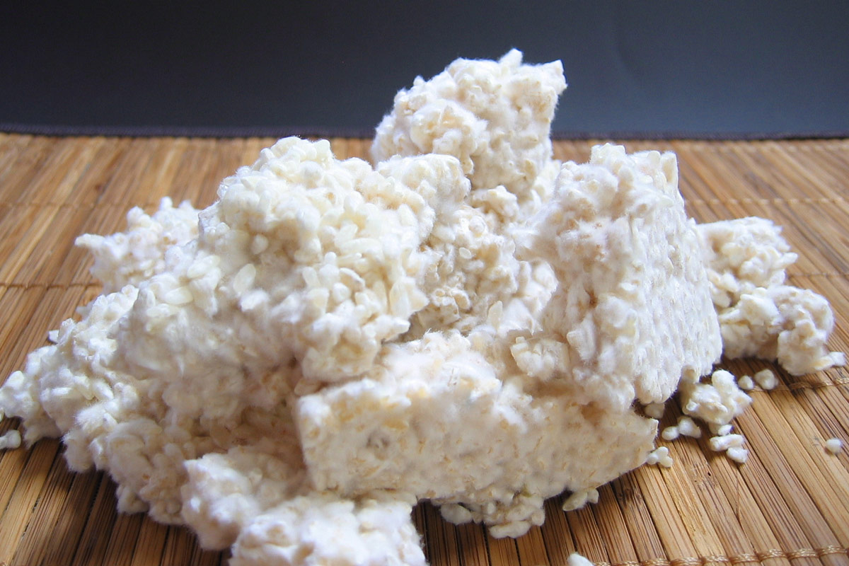 長毛菌の米麹